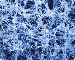1709818561374162.png 图片11.png